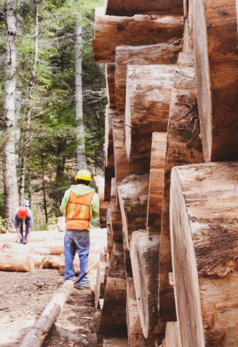 logging-5839535_1920.jpg